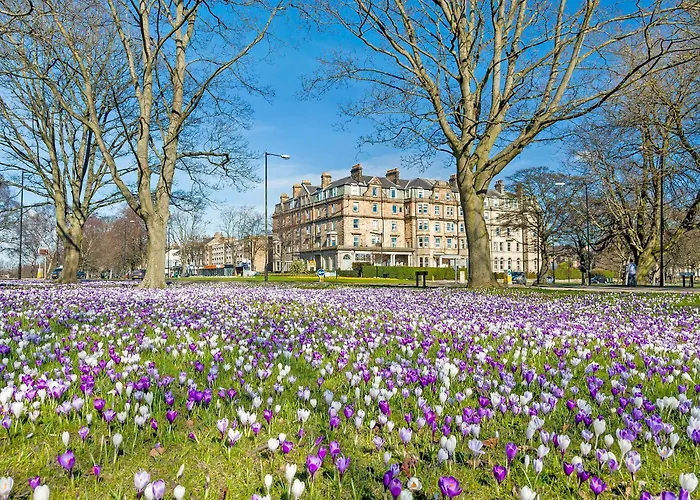 Waterside House Hébergement de vacances Knaresborough